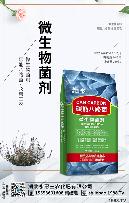 2020����÷�ķNֲǰ���������÷�r������Xһ����