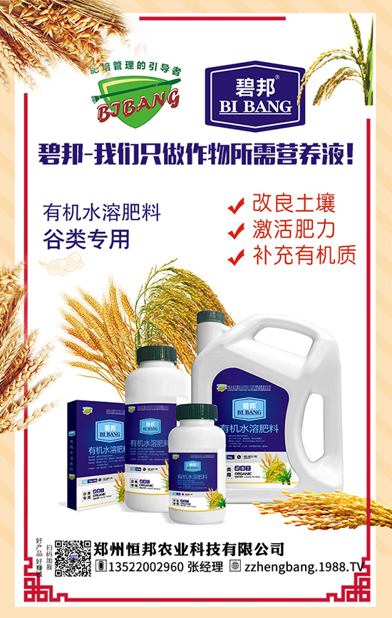 吃天麻有哪些好處?天麻的功效作用及食用禁忌