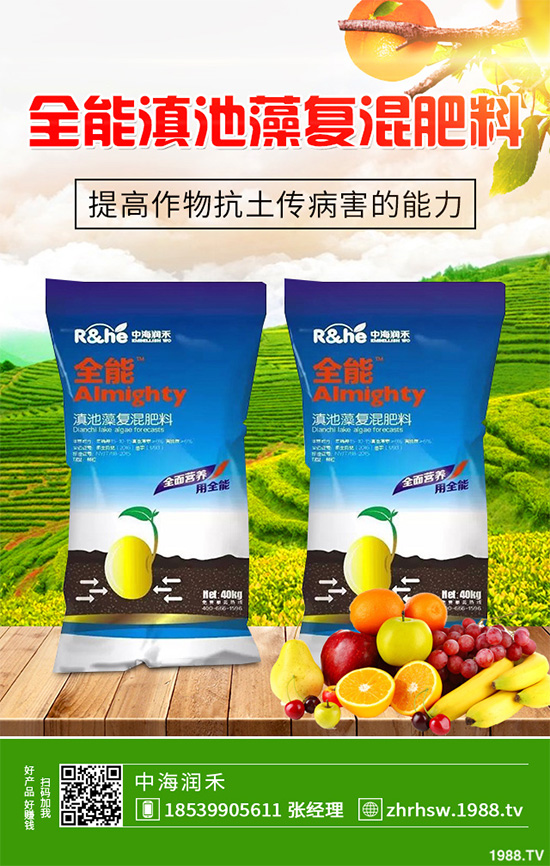 新鮮天麻和干天麻有哪些區(qū)別?那個(gè)效果更好?