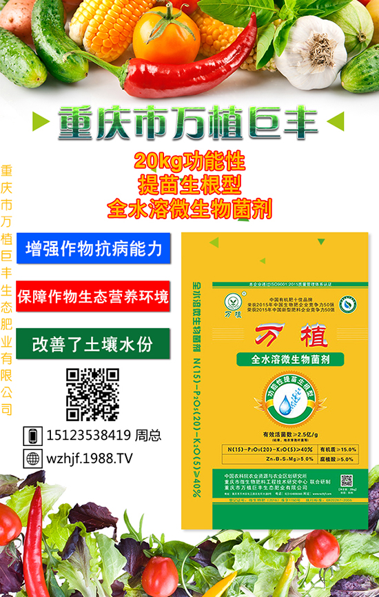 �o�O��̫�O��̫�O���Ƀx��������ʩ��Ҳ��(hu��)�������ˡ�