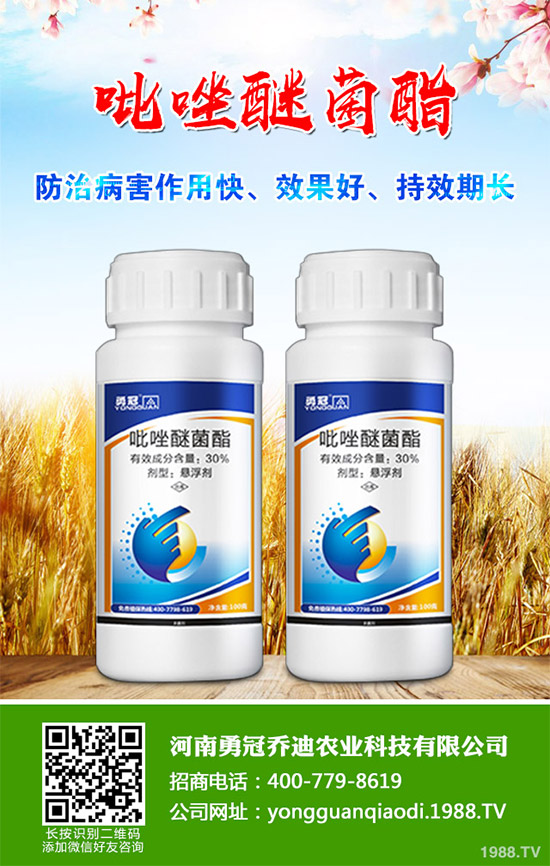 ��ù���r(n��ng)ˎ�r(ji��)��