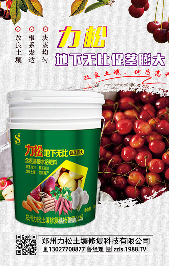     2019-12-4二銨冬儲推進(jìn)動力不足！二銨價格行情分析快報！