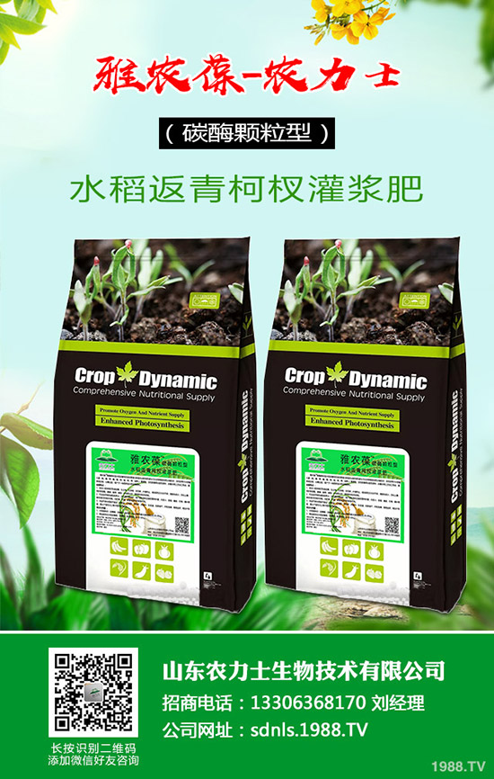 2019-12-4復(fù)合肥報(bào)價(jià)暫穩(wěn)成交下滑!復(fù)合肥行情后市預(yù)測(cè)!