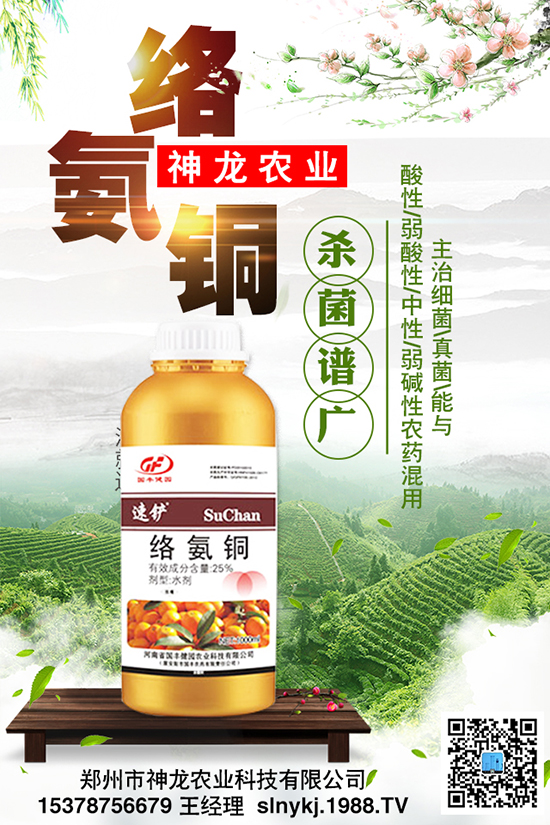 ���Ϻò������|(zh��)�����P(gu��n)�I��Ч������������Ҫ��