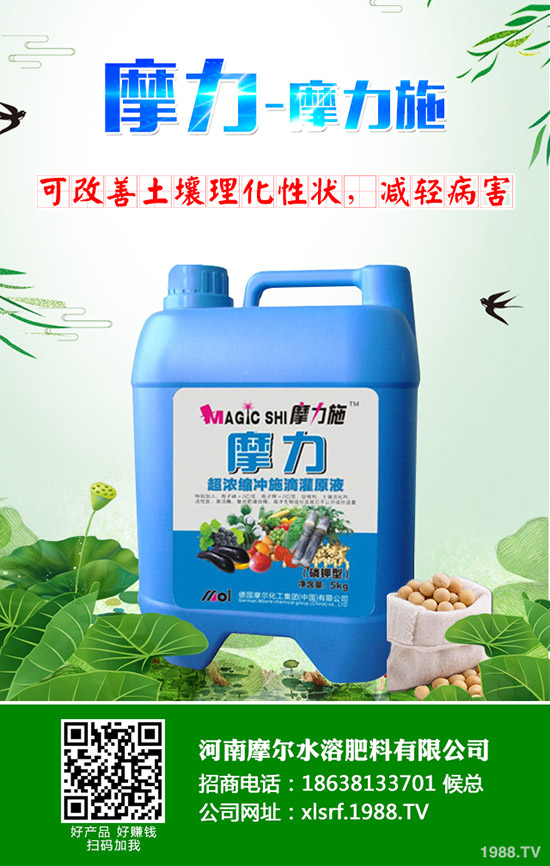 �����ʲô���Ϻ������ʩ�ʼ��g(sh��)����Щ��