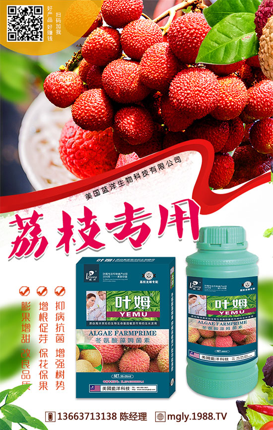 紅薯儲藏的因素，紅薯儲藏有哪些方法？