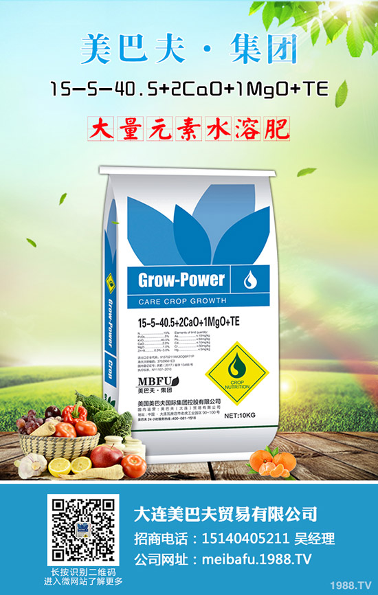     ���ڇ����Ј����@�r�������߄ݷ����������A�y2019��8��24��