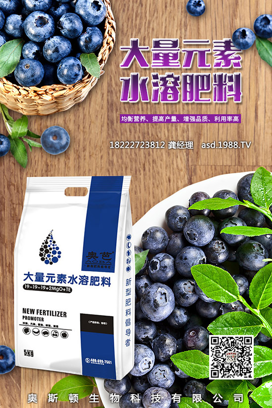 �t���Ĺ�Ч�c��������Щ����Щ�˲��m�ϳԼt����