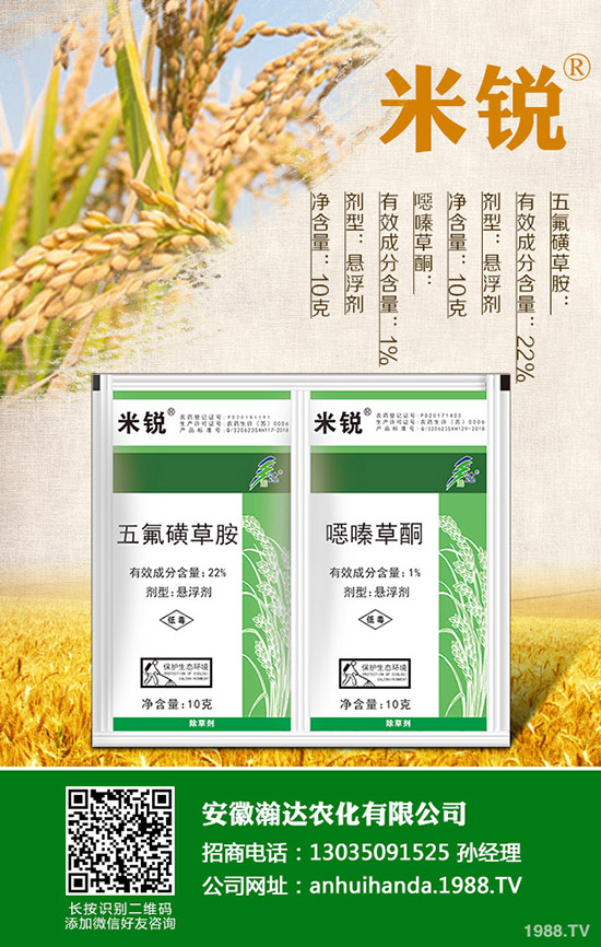 �Բ�������Щ��̎�����˵ĠI�B(y��ng)�r(ji��)ֵ����Щ��