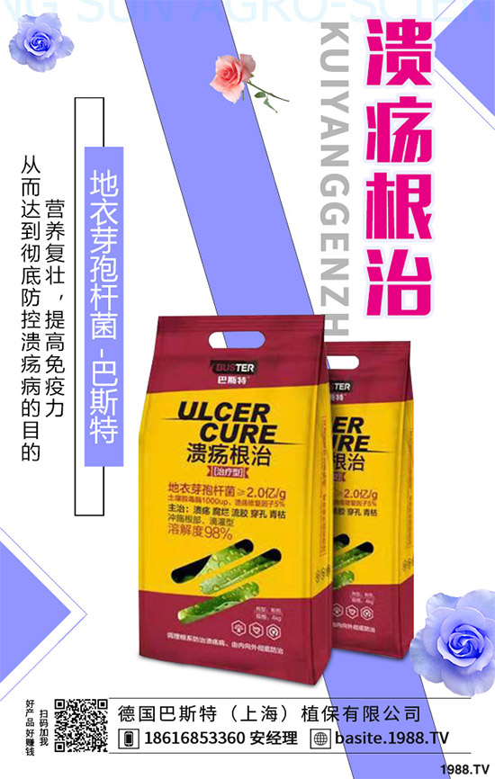 潰瘍病一定是細(xì)菌性病害?大錯(cuò)特錯(cuò)!深度解析潰瘍病,教你可防可治潰瘍病!