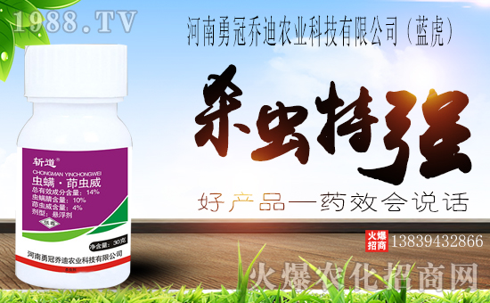 �x�����x���ĵĚ��x���c(di��n)��ʲô���x�����x����ʹ�÷��������ÙC(j��)�ƣ�