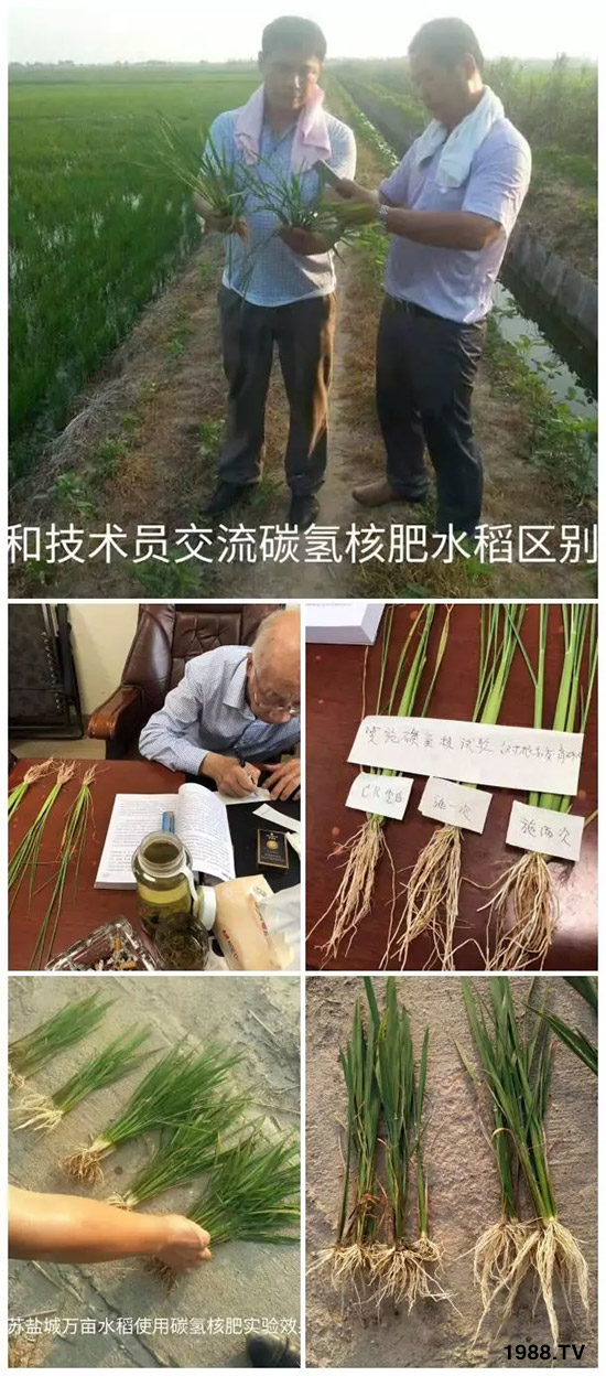 �ϰټ�ý�w��������쳬�^�W��ʳƷ�˜����̼��˷ʾ����@ô����