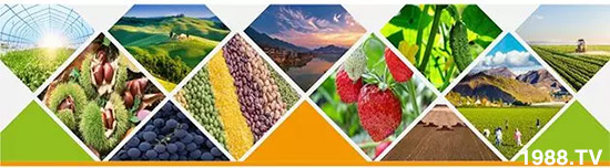 �����������L���߉��������ͷ���Ѹ����������ƌW(xu��)���L���g�޴���