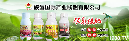 �����������L���߉��������ͷ���Ѹ������������ƌW(xu��)���L���g�޴�