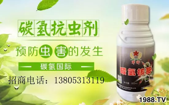 �����������L���߉��������ͷ���Ѹ����������ƌW(xu��)���L���g�޴���