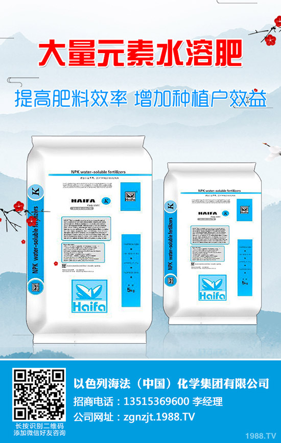     2019��9��10�ս���������(n��i)⛷��Ј�(ch��ng)����r(ji��)���߄�(sh��)����