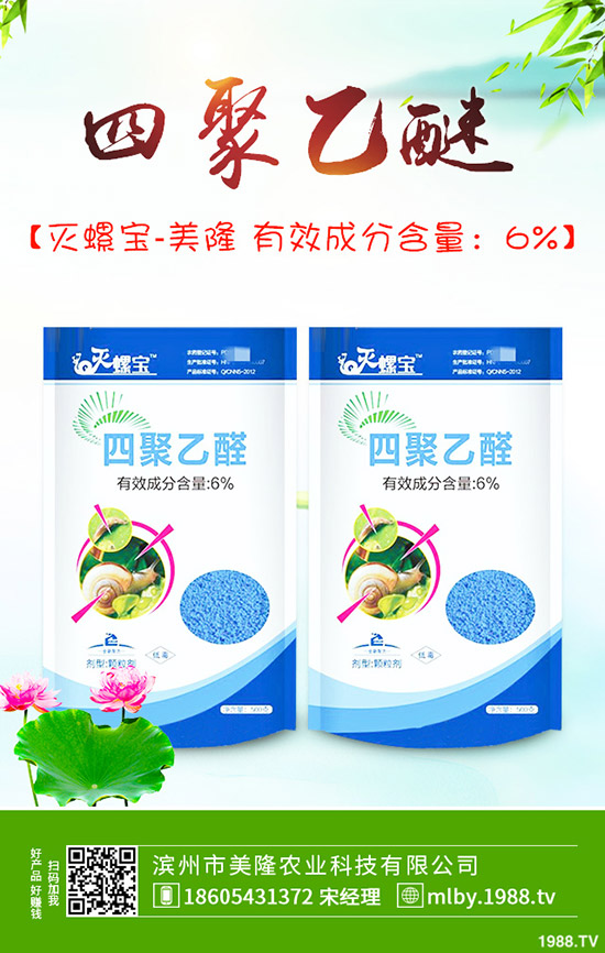 ����ԓ��ԓժ�~������ժ�~��β�����