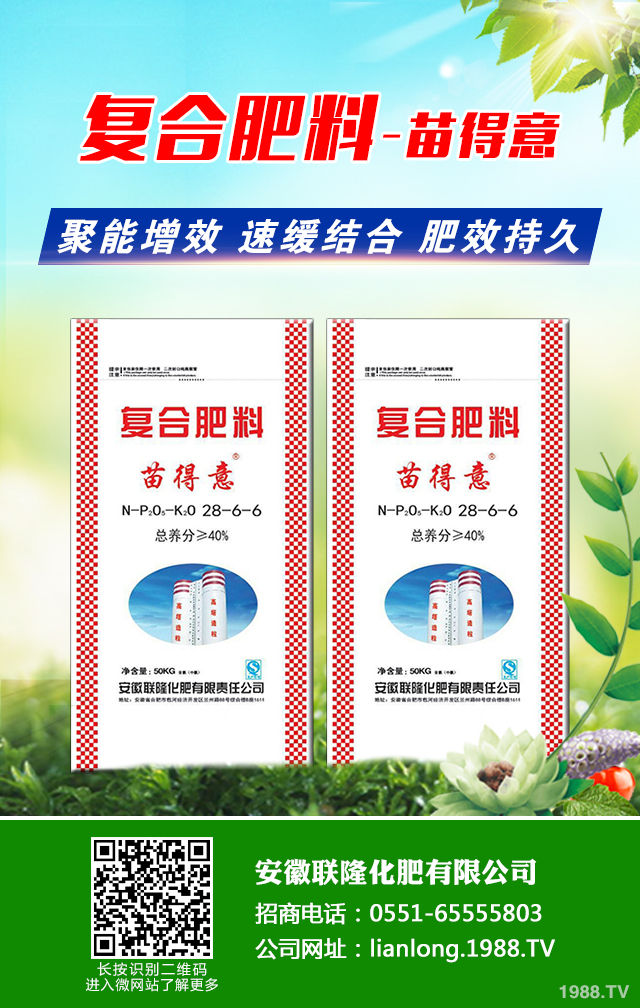 �t��������ô�������t������ȫ�����