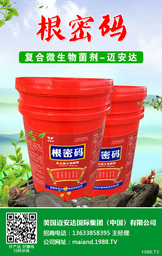 �����Jʲô�r(sh��)��Nֲ�������J�Nֲ���g(sh��)��