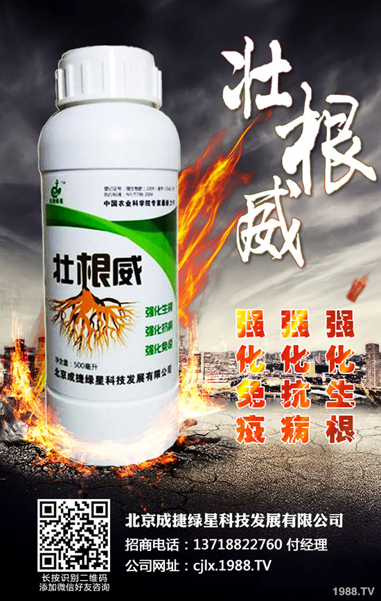�ཷ�ķNֲ��������Щ���ཷ�Nֲ�^(gu��)������Ҫע��Ď״�(w��n)�}