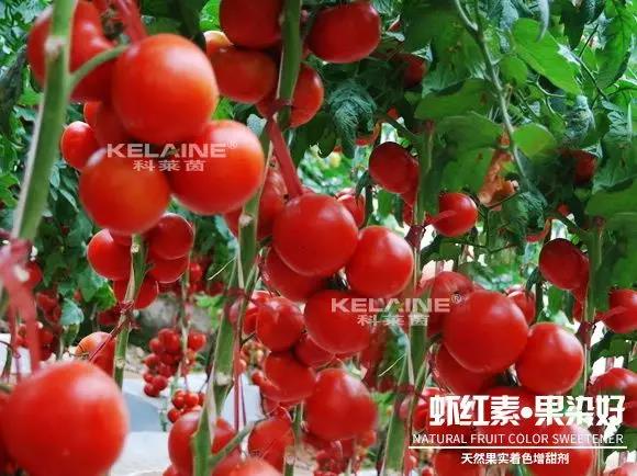 ��Ȼ����(sh��)��ɫ�����������r�t�ء��Ⱦ����