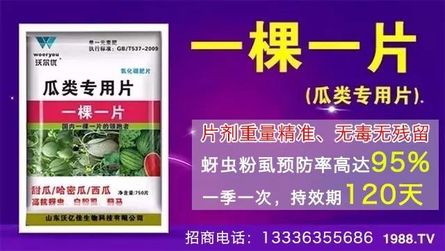 ���x(ch��ng)���wʭ��������һƬˎ�p�ɸ㶨���A(y��)����95%����Ч�L(zh��ng)�_(d��)120�죡