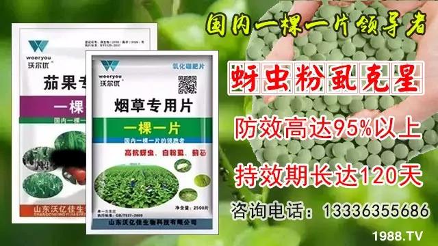 ���x(ch��ng)���wʭ��������һƬˎ�p�ɸ㶨���A(y��)����95%����Ч�L(zh��ng)�_(d��)120����