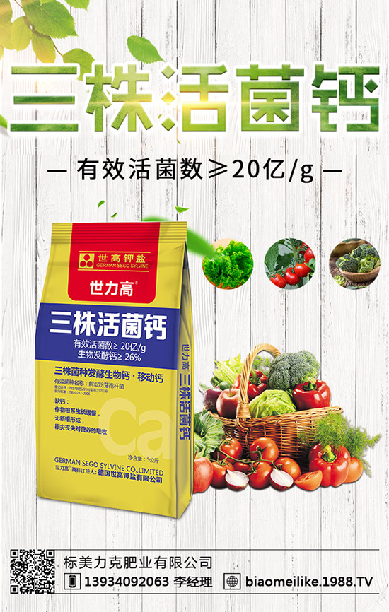 ���S��ʲô�r(sh��)������ã����S�������ע�����(xi��ng)��