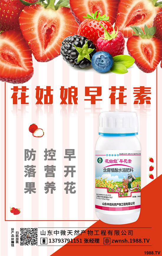 ���[���ڲ�������ЩΣ�����F(xi��n)��ԓ����A�������[���ڲ����A����ʩ