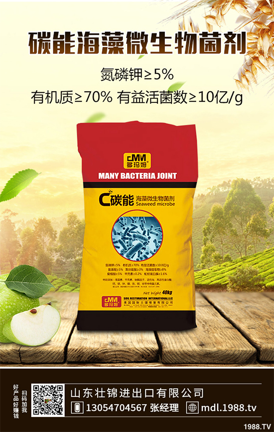 ���[�ϰ߲�����ЩΣ�������������������[�ϰ߲��ķ��δ�ʩ