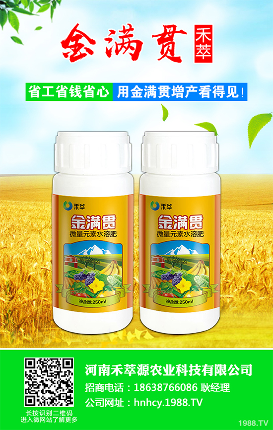 ���[ܛ����Σ���@ô��������ԓ��η��������[ܛ�����İY����η���