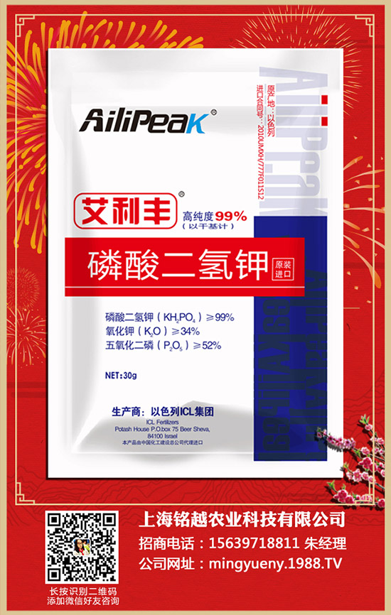 ������ηNֲ�������Nֲ������ע�������