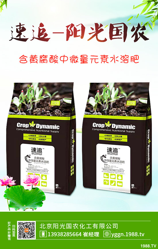     ���c������������@�r���Ƿ�Ӱ������¶��@�������2019-9-241-(238)