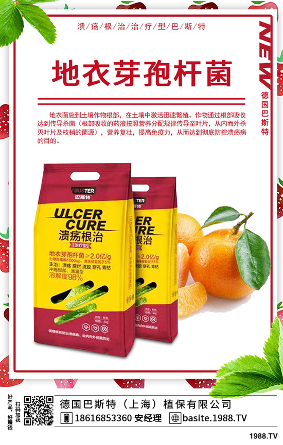 �t��̦��ô�N���t��̦�ķNֲ�r�g���Nֲ������