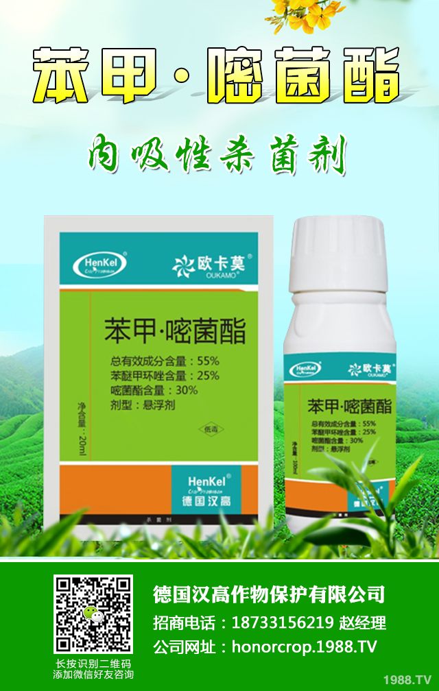 �n�S�ְ߲���ô�����n�S�ְ߲����μ���