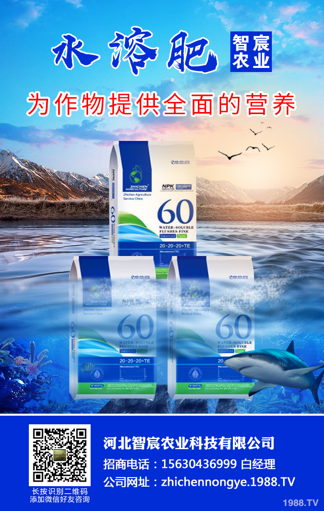 ��������������η����������綬���������g(sh��)