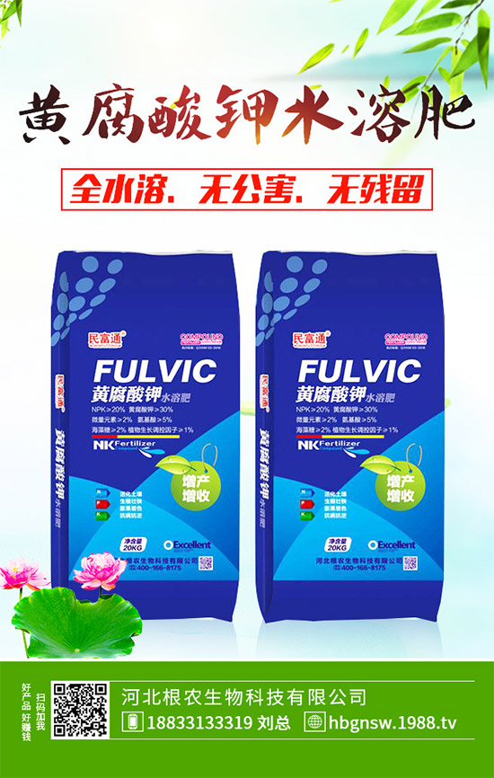 ����ԓ��ô��������ĠI�B(y��ng)�Է���ע�����
