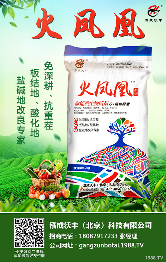     2019��9��4�ս��Շ���(n��i)һ�@�r(ji��)�������߄�(sh��)�A(y��)�y(c��)�C���u(p��ng)��