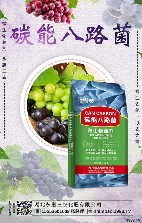     2019-9-7����⛷ʃr������ӑB(t��i)�u���������Xһ����