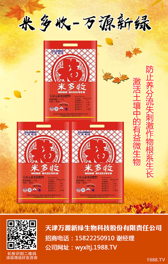 萵苣霜霉病危害這么大,你知道該如何防治嗎?萵苣霜霉病防治方法