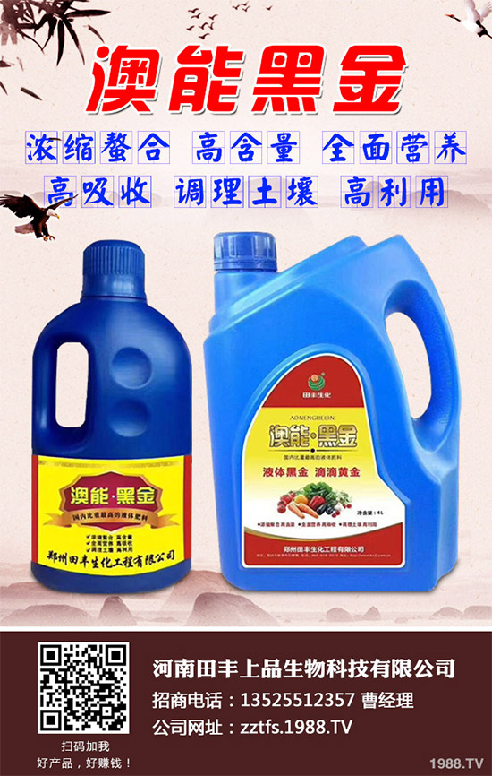 ���Ĳ�����Щ�I�B(y��ng)�r(ji��)ֵ���Ծ��Ĳ�����Щ��̎������Գ�������