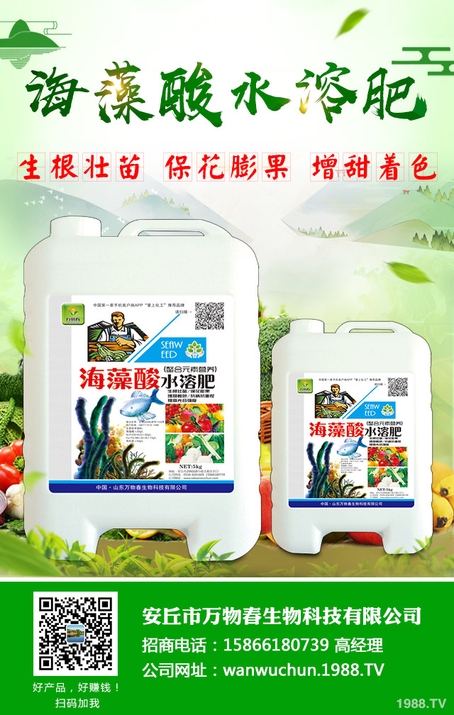 �߲���ô�������͜��������߲˹�������