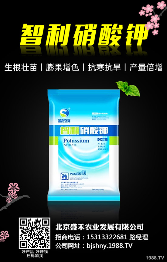 �Ҙ�(sh��)���Nֲǰ����ô�ӣ��Ҙ�(sh��)���߮a(ch��n)����Ҫ�c(di��n)��