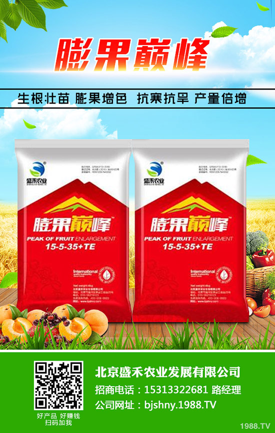 �Ͳ�ʲô����(ji��)�Nֲ���ͲˏķNֲ���S����Ҫ�����