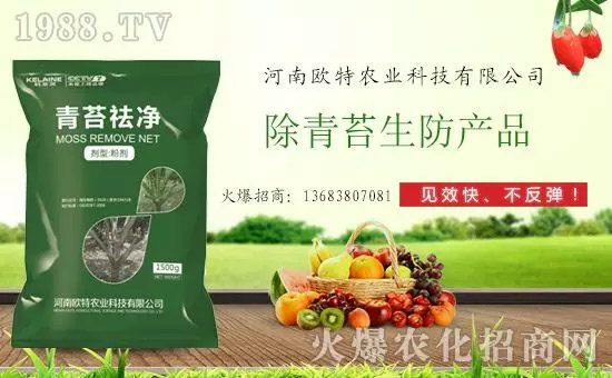 �������̦���������������Ƀ�����̦�oۙ��