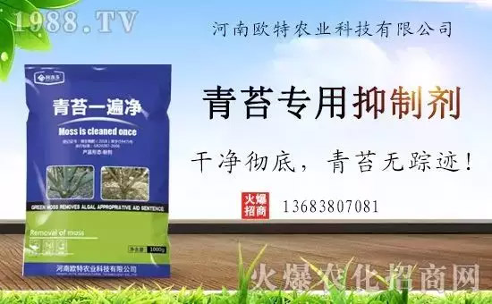 �������̦���������������Ƀ�����̦�oۙ��