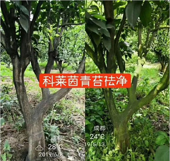 �������̦���������������Ƀ�����̦�oۙ��