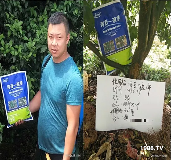 �������̦���������������Ƀ�����̦�oۙ��