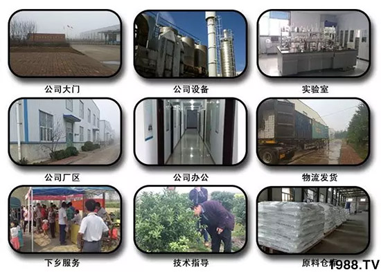 �������̦���������������Ƀ�����̦�oۙ��