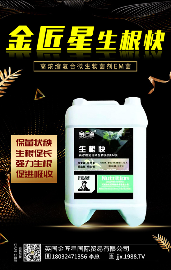 油茶樹的生長(zhǎng)特性,油茶樹怎么種植?